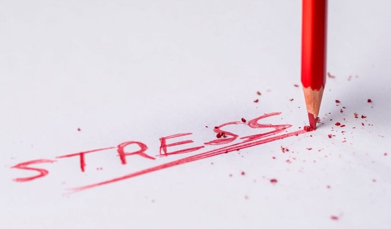 Ini Dia Cara Mengurangi Rasa Stress Kamu Di Kantor